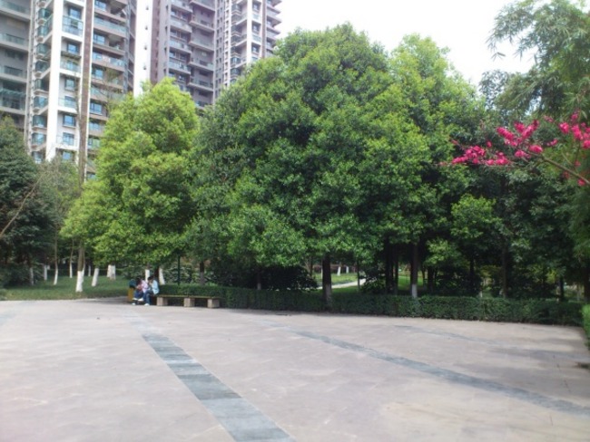锦华路小区图片