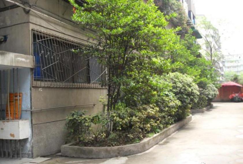 清水河小区图片