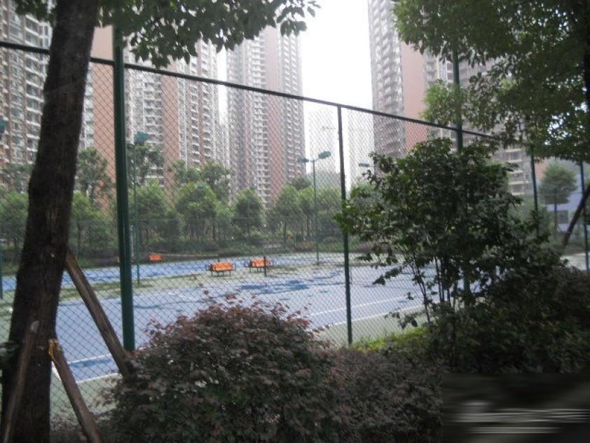 重庆上品十六图片