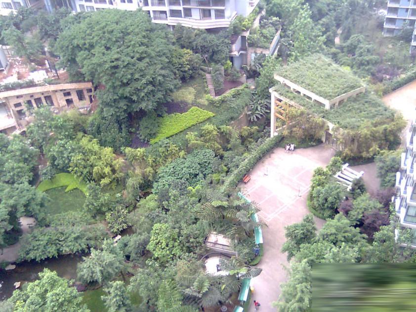 海棠晓月蓝滨城