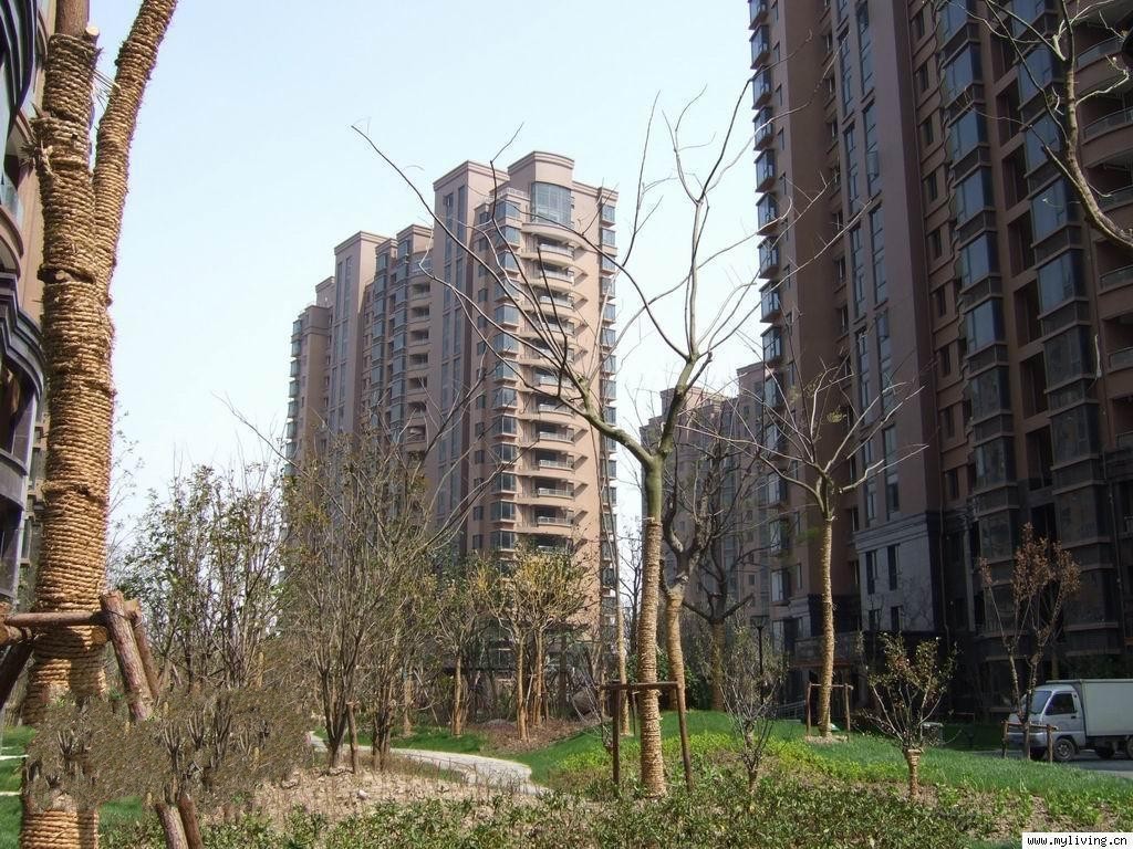 上海绿地东上海图片