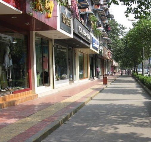 成都抚琴西路初中社区姚升论文麒麟图片图片
