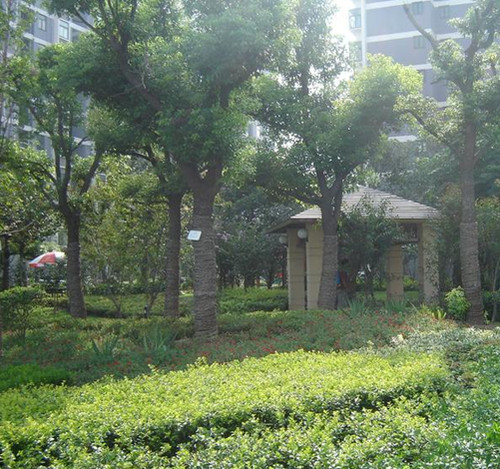 新南湖小区图片