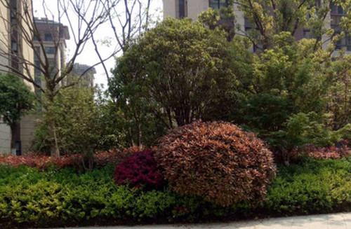 苏州原住人口_苏州人口热力图(3)