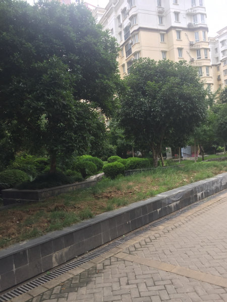 武汉汉口花园淡莲轩二手房房源图片