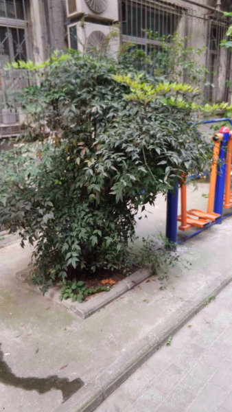 武汉华微商厦二手房房源图片