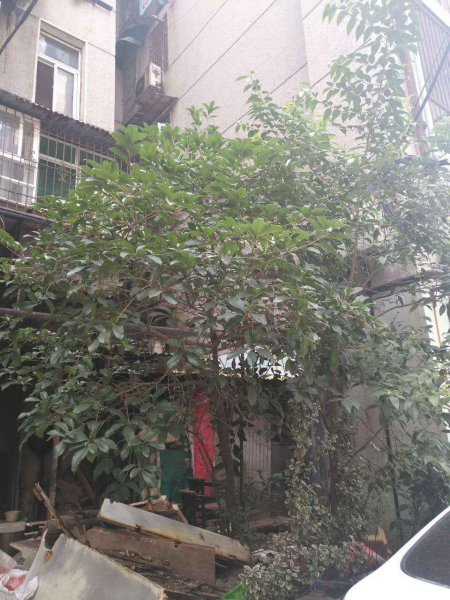 武汉劳动街公园社区二手房房源图片