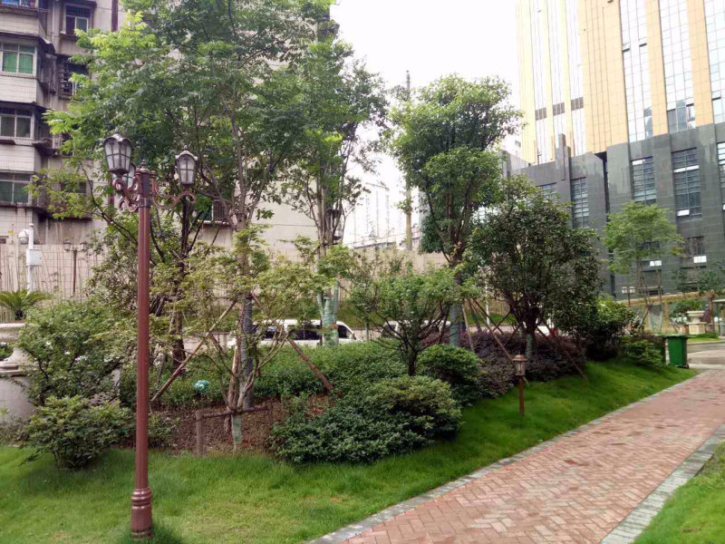 武汉龙阳时代二手房房源图片