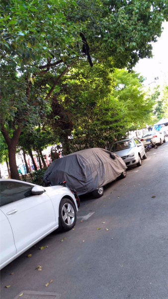 南京仁义桥外景图