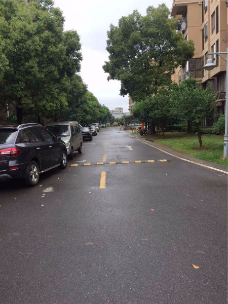 南京天鹅湖花园外景图
