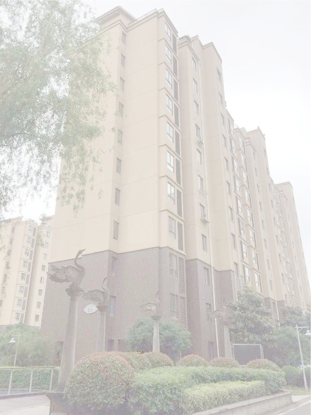 南京天鹅湖花园外景图