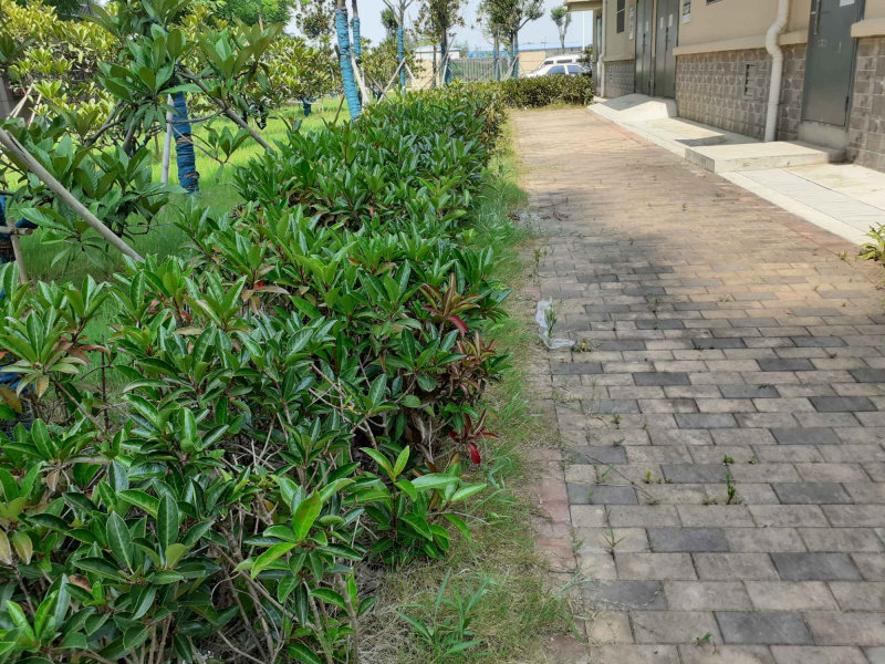 南京新华公寓祥和苑外景图