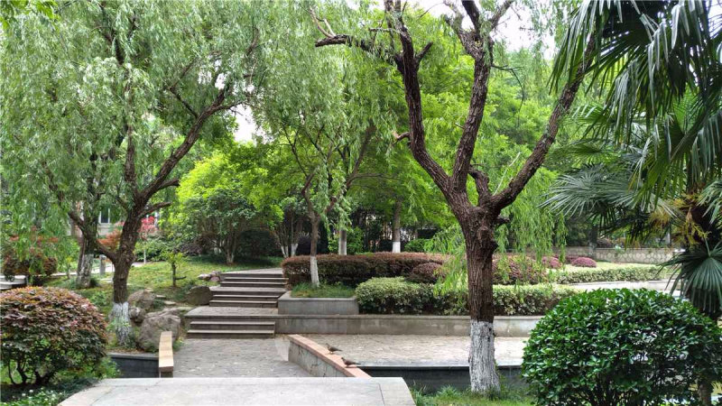 推推99南京房产网云锦美地汇锦苑出租房房源图片