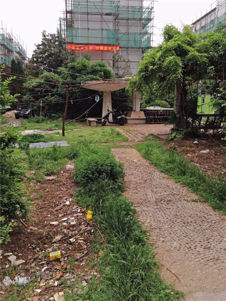 南京金轮第一城外景图