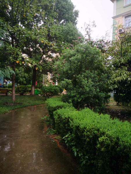 南京欧陆经典花园外景图