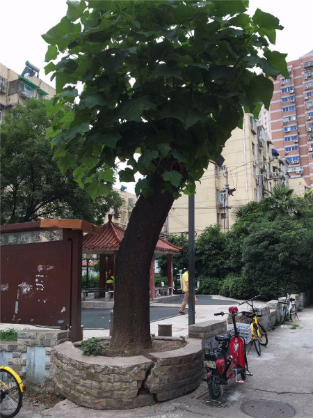 南京殷高巷小区外景图