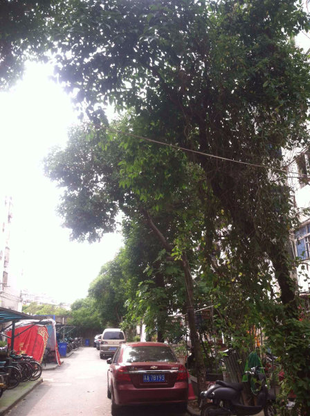 南京健园小区外景图