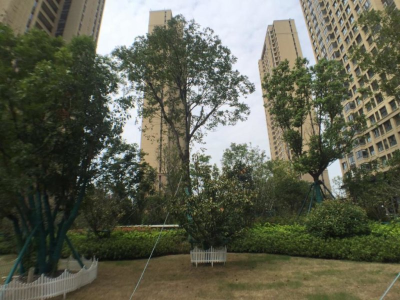 推推99南京房产网万科翡翠公园外景图