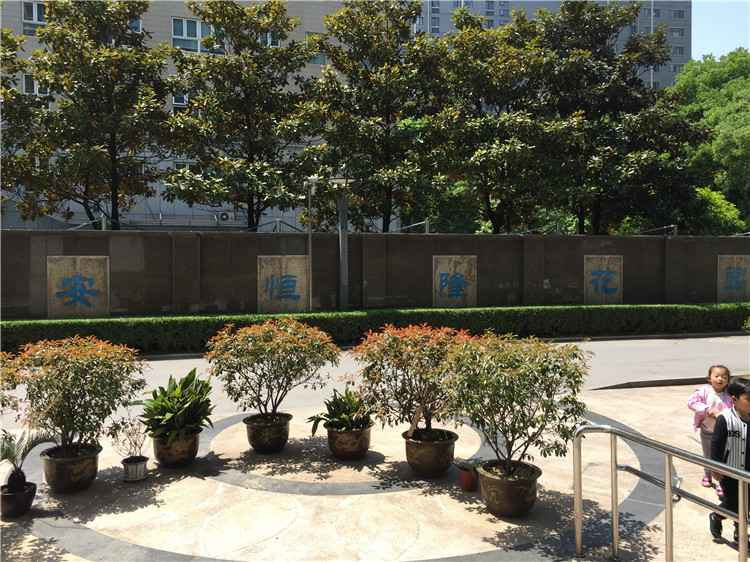 推推99南京房产网天安恒隆花园外景图