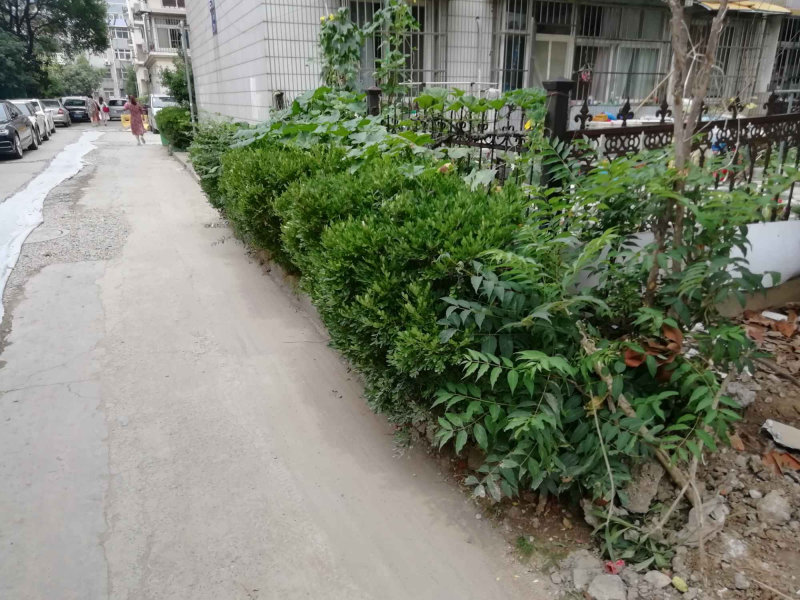 南京宁湖园岚岛别墅外景图