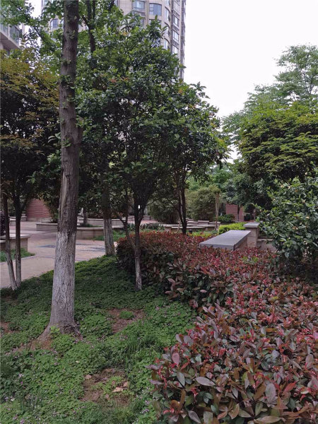 南京天元瑞沨名苑外景图
