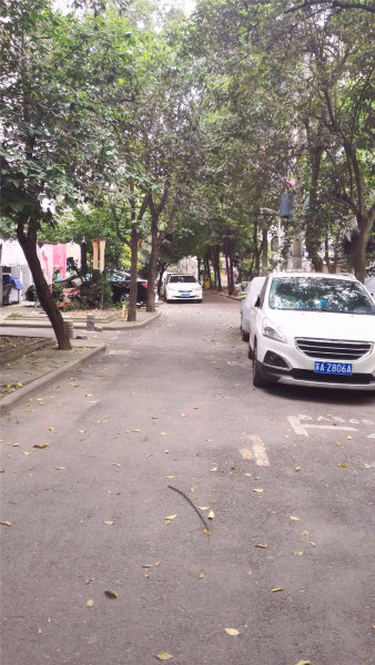 南京兆园外景图