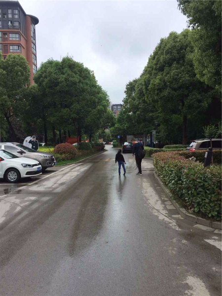 南京世纪东山外景图