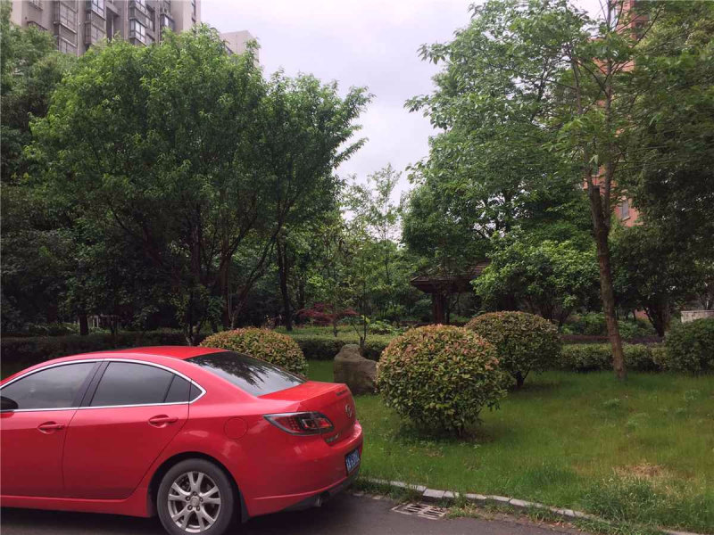 南京世纪东山外景图