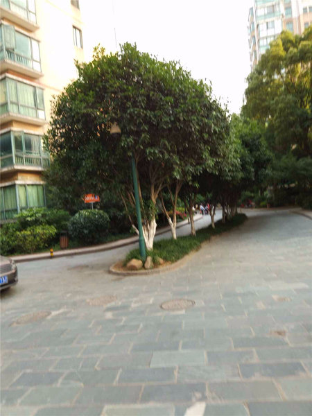 南京桃园人家外景图