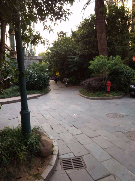 南京桃园人家外景图