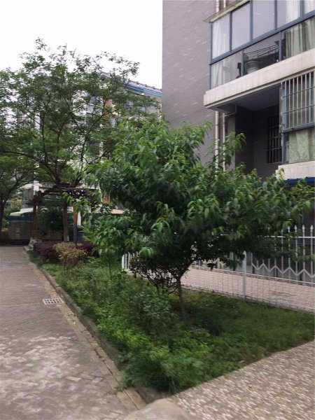 南京爱秦湾外景图
