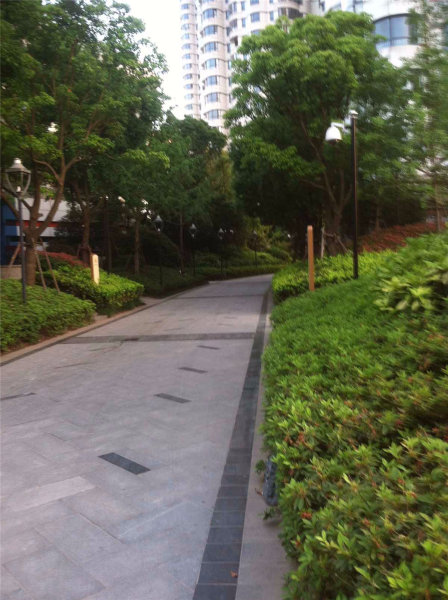 南京苏宁滨江壹号外景图