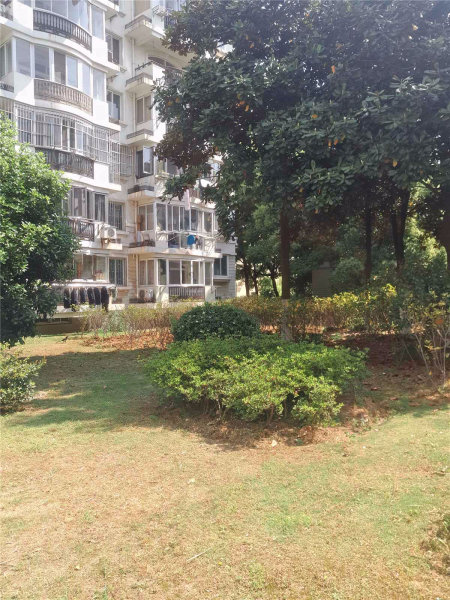 南京江南文枢苑外景图