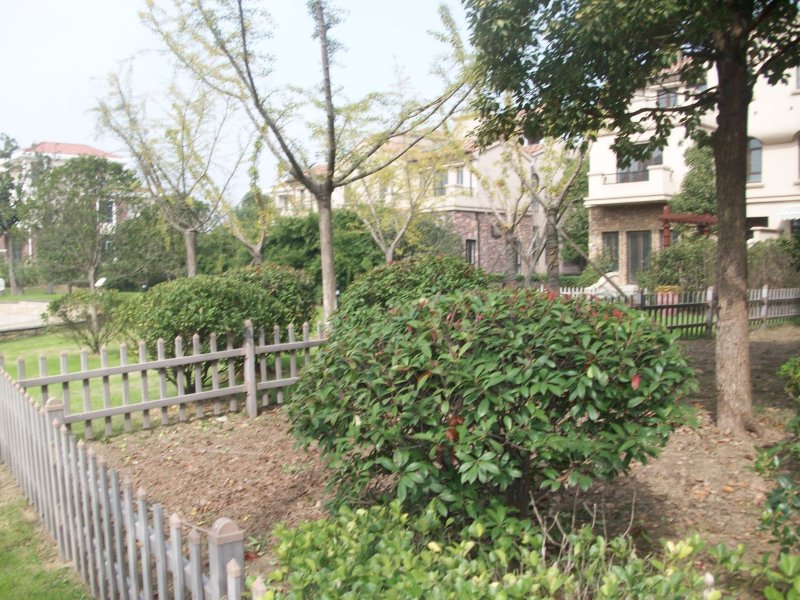 南京罗托鲁拉小镇外景图