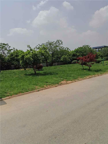 南京天秀湾花园外景图