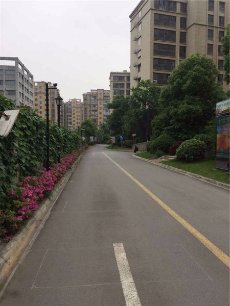 南京银城千花溪外景图