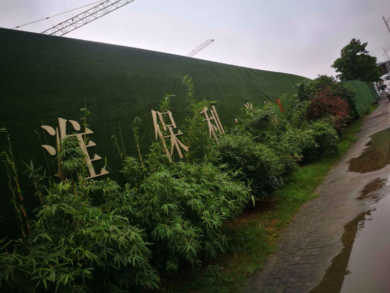 南京保利堂悦外景图