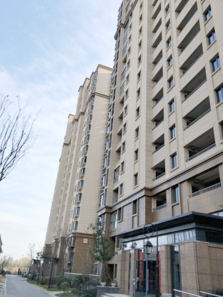 南京金轮津桥华府外景图