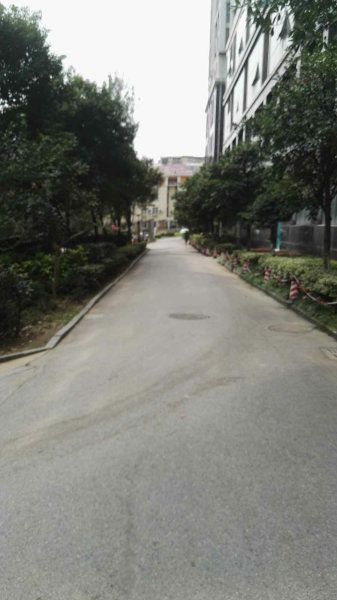 南京百家湖国际花园外景图