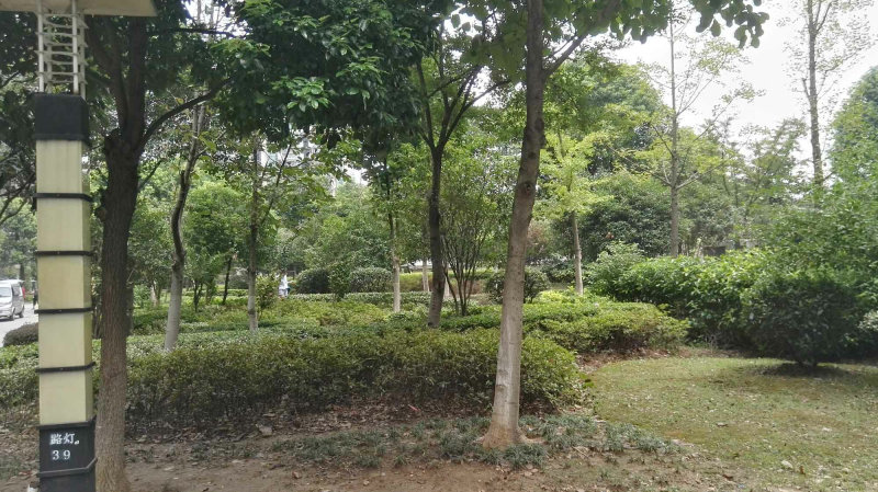 南京百家湖国际花园外景图