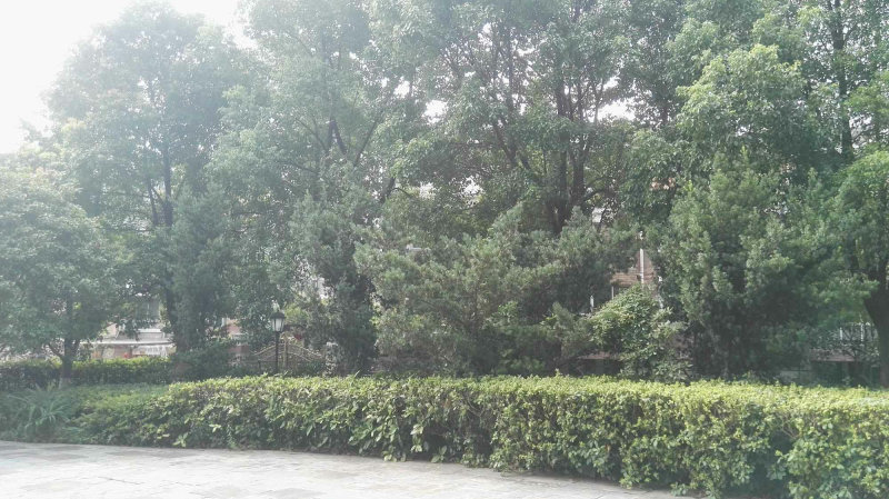 南京左岸名苑外景图