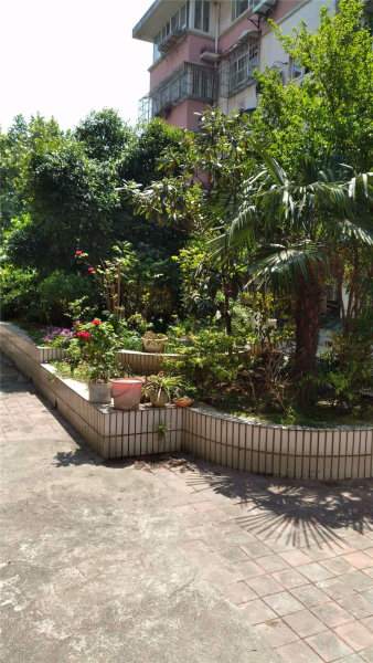 南京达莱花苑外景图