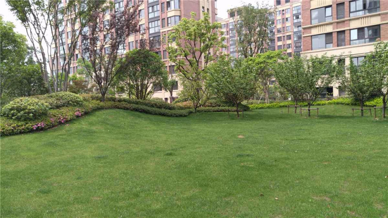 南京保利紫荆公馆外景图