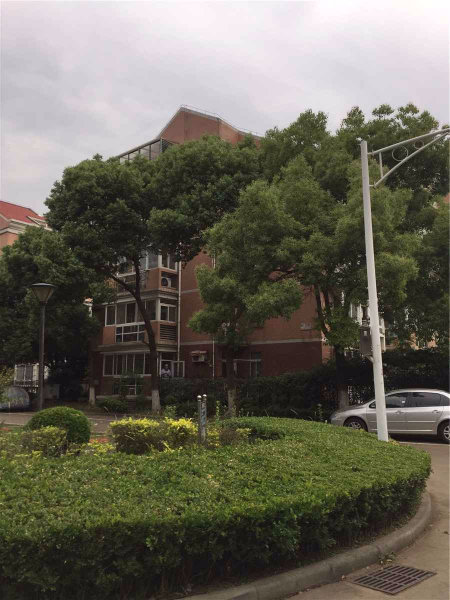 南京武夷花园外景图