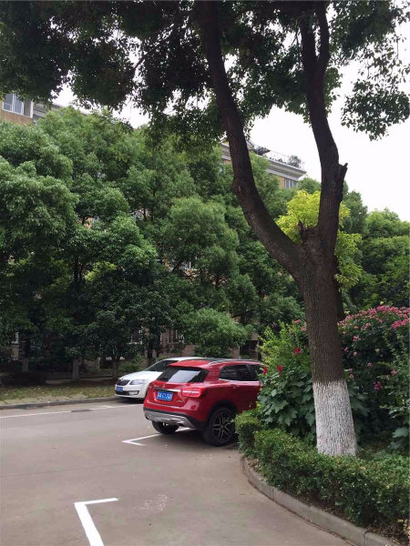 南京武夷花园外景图
