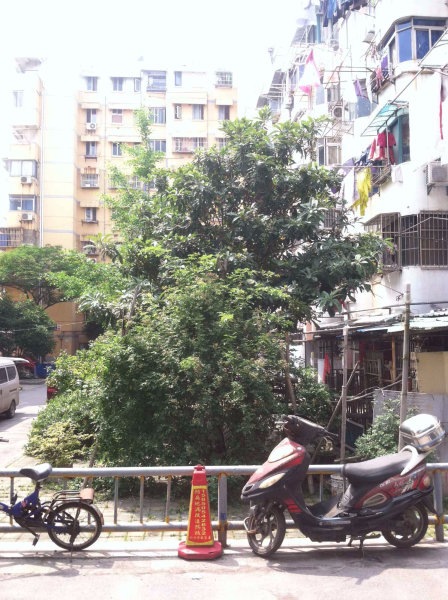 南京台园外景图