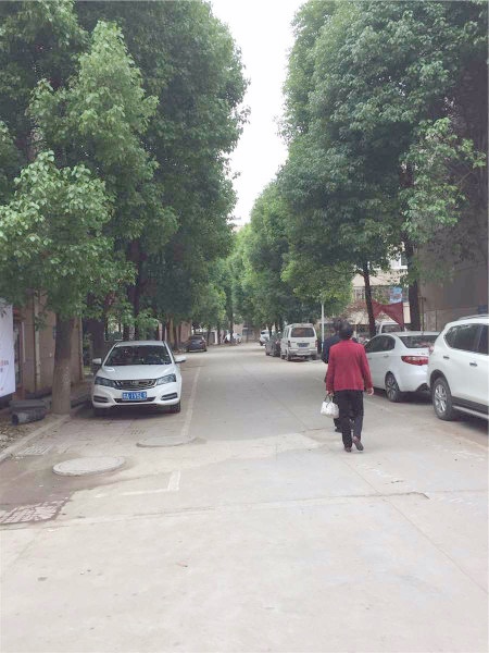 南京金盛公寓外景图