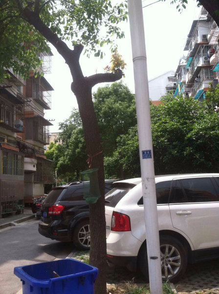 南京澄园外景图