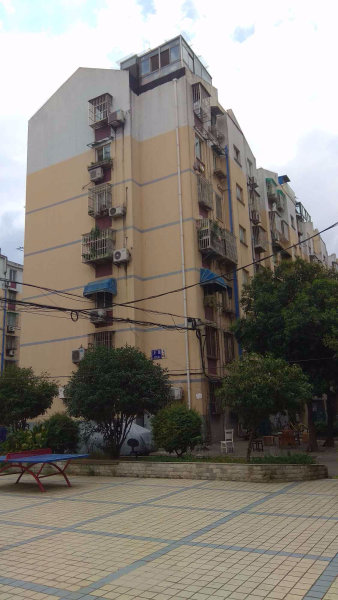 南京开园外景图