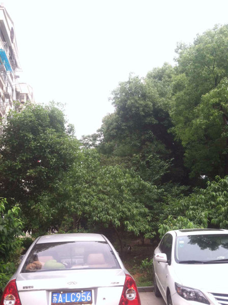 南京发园二手房房源图片